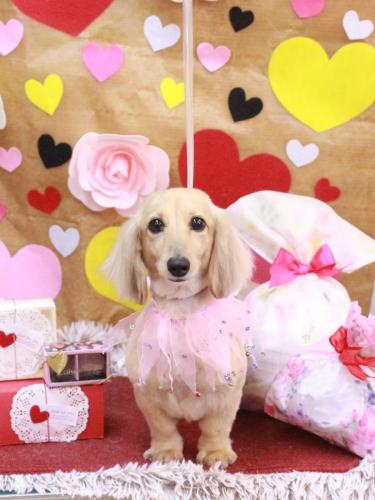 20230223ユリちゃん